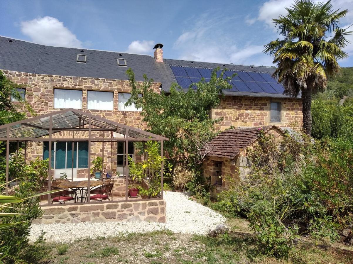 コロンジュ＝ラ＝ルージュ Le Palmier D'Alice Bed & Breakfast エクステリア 写真